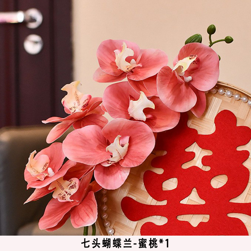 Seven-headed phalaenopsis-peach