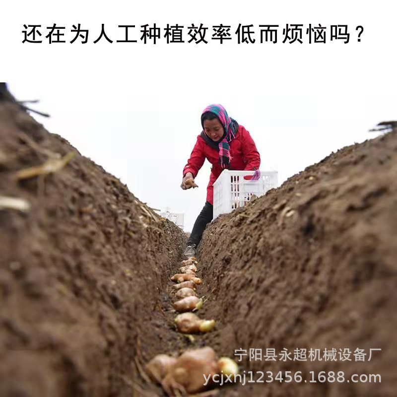 莱州家用大姜种植机株距可调汽油机带座驾式生姜老姜播种机厂家供