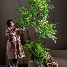 Gֲ͏dpݸ߶Էٻ٘b[