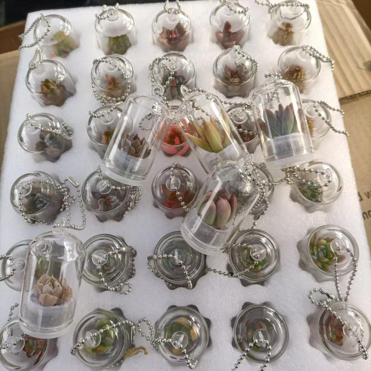 2024-10-21 11:18:14.jpg