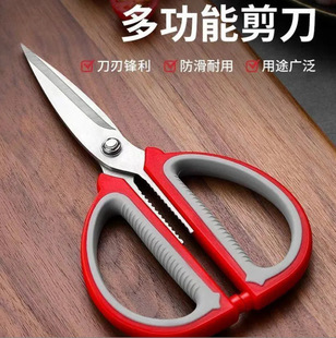 ���ü����๦�܏N���������ü�����̖�tɫ�k�������ÿp�������l