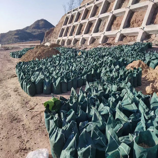 Производители Shandong Оптовая торговля непосредственно посаждает зеленую посадку с наклоном для защиты от семя