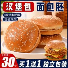 汉堡包面包胚整箱早餐营养小零食儿童半成品独立包装家用商用批发