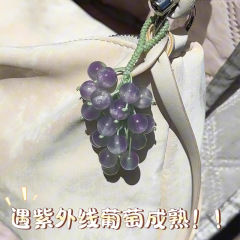 遇阳光变色青提挂件编织材料包绿葡萄串璃珠挂饰钥匙车挂送闺蜜