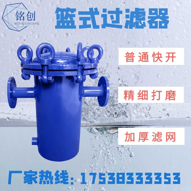 篮式过滤器 304 316L不锈钢蓝式过滤器快开直通式污水管道除污器
