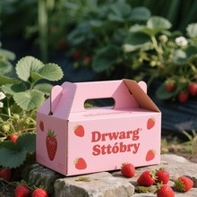 ��ݮˮ������ӡˢ�ͶY���նY�� �Ӻ�Ʒˮ���е��|��ݮˮ��ͨ��