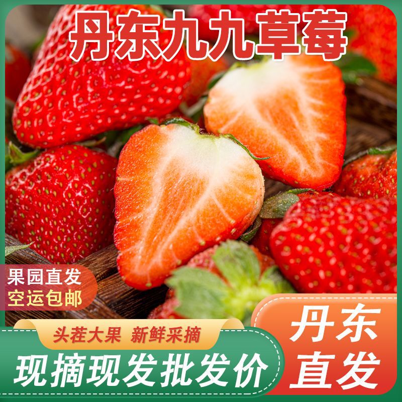 [Dandong Jiujiu Strawberry] Red Beauty Directly Shipped from the Place of Origin Fresh Fruit Wholesale One-Piece Dropshipping