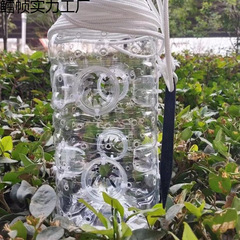 白条魚の小魚の神器を捕まえて麦の穂魚を捕って蚊を食べます。