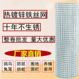 Galvanized thickened and reinforced wire mesh fence for outdoor breeding, windows, isolation, and protection mesh