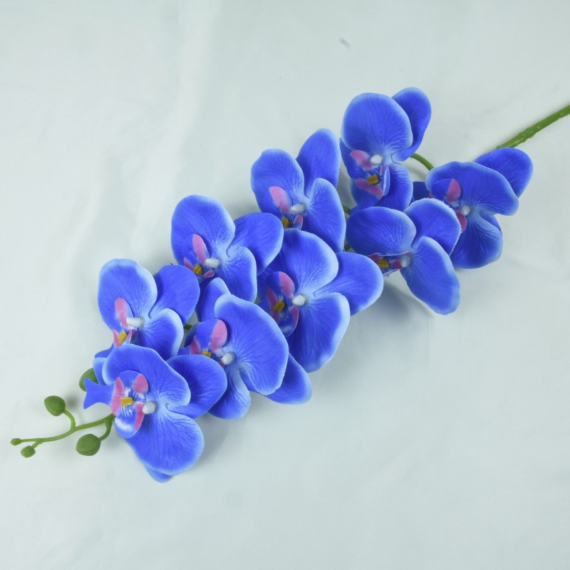파란색