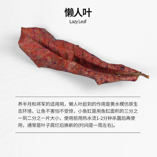 Thailand Betta Fish Care Set Care Tools Waste Absorber Pandan Leaf Floating Small Particle Feed Aquarium Salt