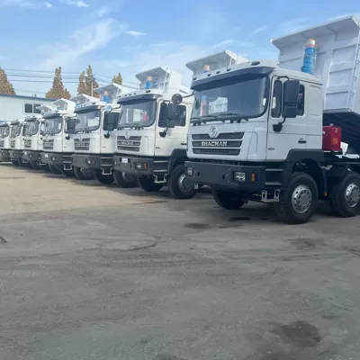 Cross-Border Central Asia and Africa Shaanxi Automobile Heavy Truck Dump Truck Delong F3000 Front Four-Wheel Drive and Rear Eight-Wheel Drive Mining Dump Truck