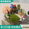 碗形微景观玻璃花瓶 水培玻璃鱼缸 苔藓植物生态瓶家居工艺品摆件