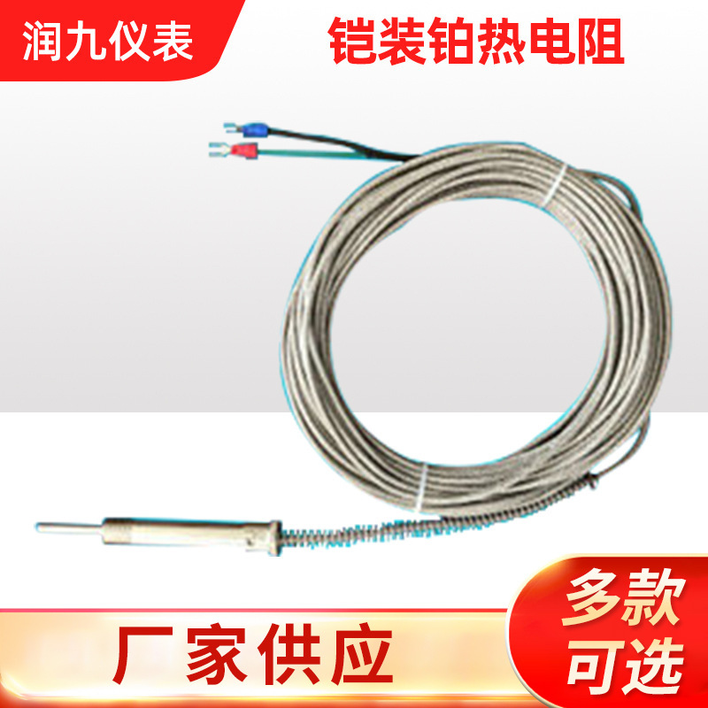 荐 铠装铂热电阻 高灵敏度热电阻 热电阻耐用耐高温传感器温控