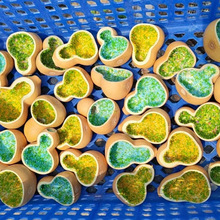 ԭ����ɫ�ݵغ��J�����Ʒ�ֹ�diy�[��С���J���l�����ͯ���