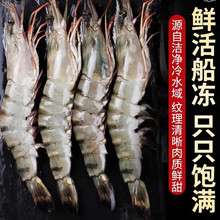 �O����~ �r������ڻ��r900g �ك��߹��r���rԽ�ϻ��r ���rˮ�a