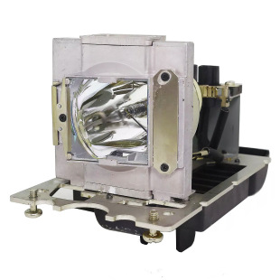111-896 projector lamp DIGITALPROJECTION for TITAN1080P-800E inzel