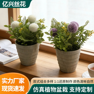 ���������㻨�辰�Ҿ��������Gֲ���տ�С�r���҃��b�����С��