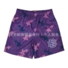 E24 Purple-Star