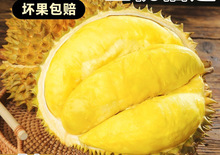 ����̩��������ɏ10�����rˮ��������S���x����һ��������������