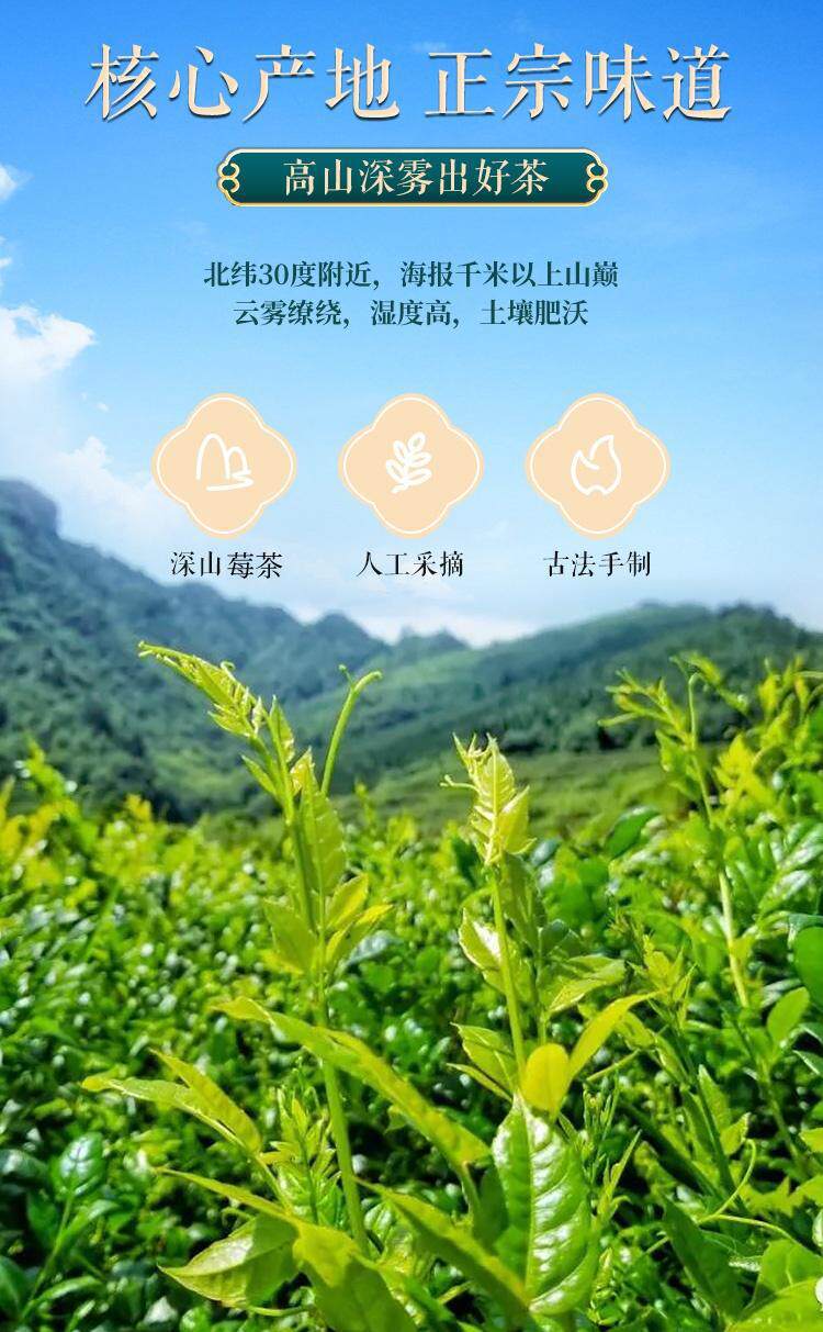 Wild Mei Tea Zhangjiajie Bud Tip Grade 125g Traditional Vine Tea for Daily Wellness Brewing key features