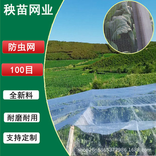 �羳����W�I���x�W������߲��r���Bֳ�����þW������W�ַ��o