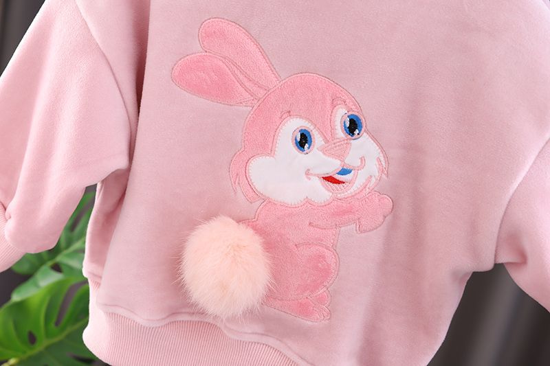 Mädchen Winter Zweiteiler Set Mit Cartoon Jacke Und Hose_voghion.com