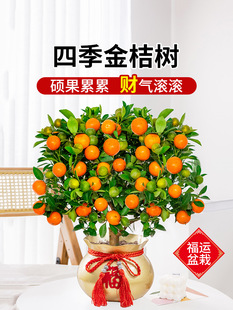 ��ۘ����Կ�ʳ�Î�����Ƥ�ļ����Ә���͏d�҃�����û��ܾGֲ��