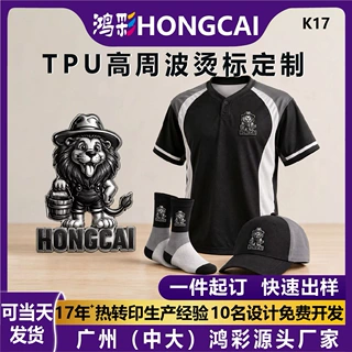 服装TPU烫章烫标商标热转印高周波凹凸立体金属辅料丝印定制烫画