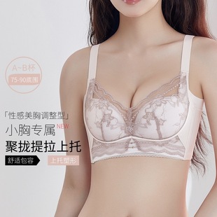 �{���̓���ŮС�ؾ۔n�@�ش��¿���Ը��ո�����´�����������