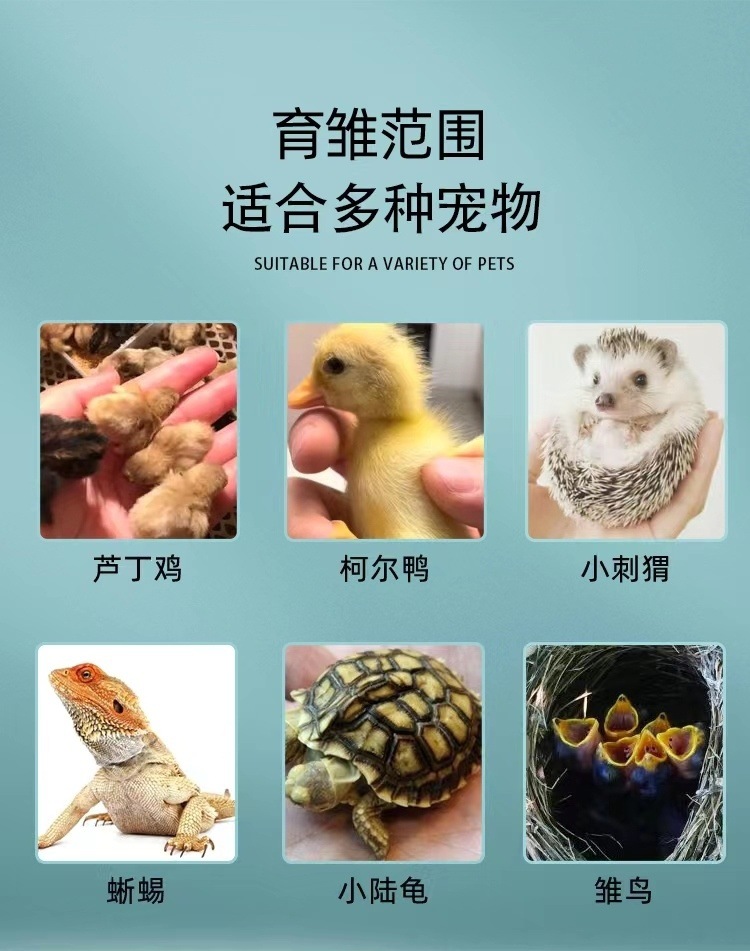 80c1a7a2-861c-413b-a3a7-d83cea04bc52.jpe
