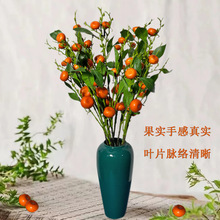 �������֦���l�͏d�Ҿ��b�Ʒ�Wʽ�ٻ��٘�֦���ӹ�֦����[�O��