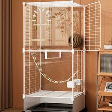 ���l�B�\�Ӽ��ô�̖��Ƥ���P�W�^���A�e�����R����С��ü�ŵ��˸�