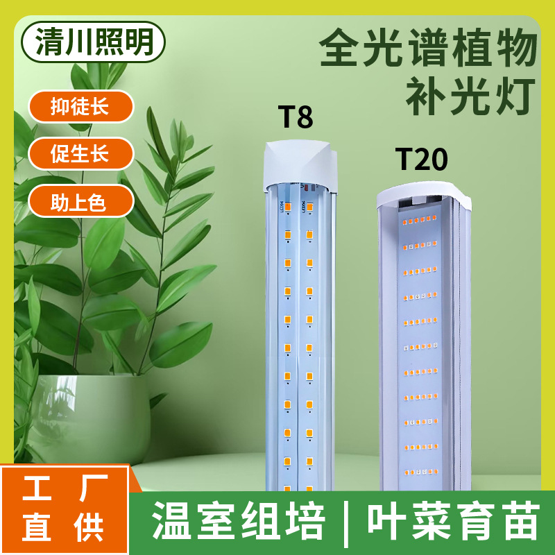 Lámpara LED de Espectro Completo para Plantas T8 T20 Aluminio Espectro Completo para Cultivo Interior