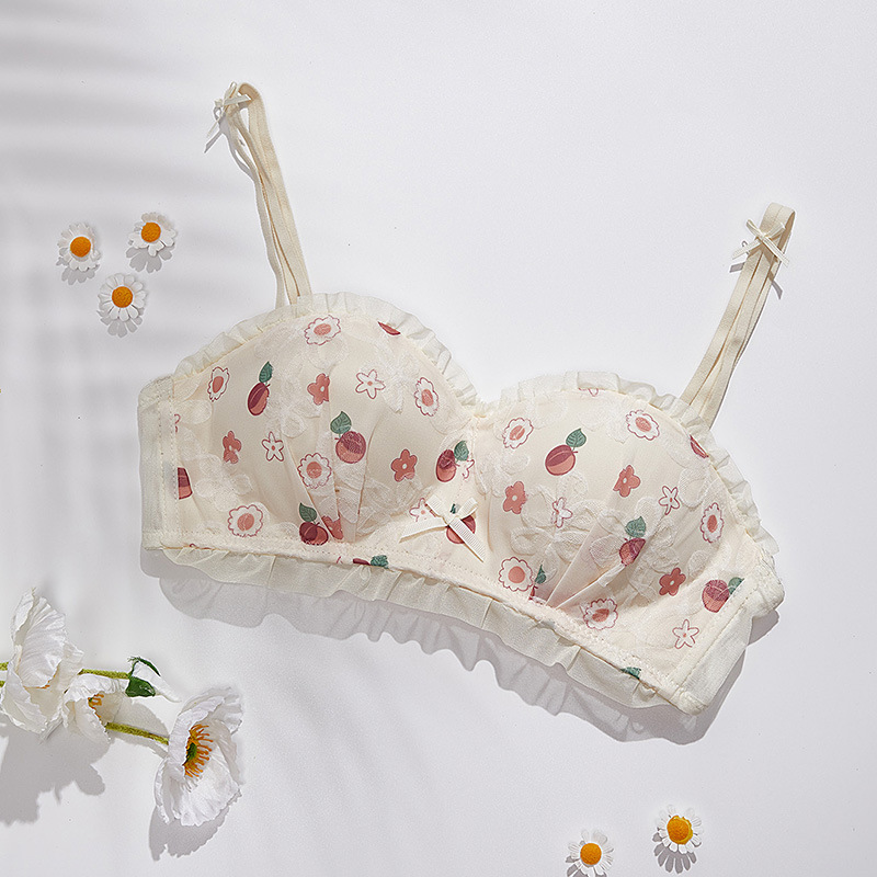 Venta directa de fábrica comercio electrónico transfronterizo Sudeste de Asia Vietnam Tailandia damas dulces sujetador de colección lateral sin costuras