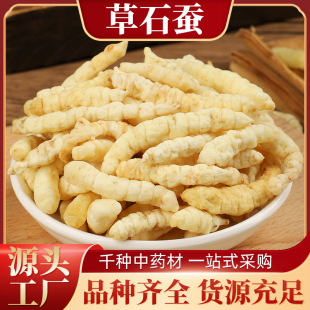 �Ĳ�ʯ�Q���Q�����x�����l��������ă�