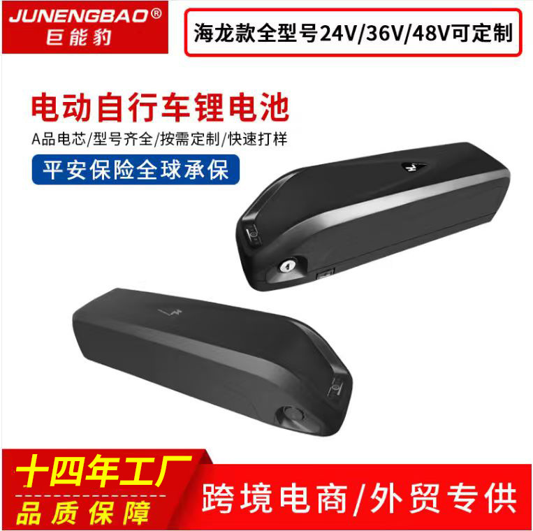 36V25.6Ah 48V Hailong Model No. 1 and Type 2 Electric Vehicle Lithium Battery Mountain Moped Power Lithium Battery