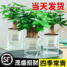 2025�¿�lؔ��С���Ի����k���҃�ˮ��Gֲ����լ�辰�ļ����B��