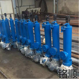 |DT10000-600||电动推杆 内置限位电动推杆图片