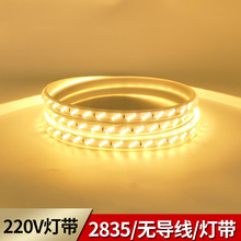 led灯带220V无导线 单排120灯双排三排180灯户外防水家装客厅吊顶