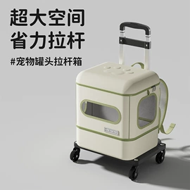 猫猫包、箱;猫猫玩具;猫厕所