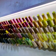 ���ܿp�x����ľ���Ӵ���ž������ռ{�񾀒쾀ë���ܿp�x��ľ����