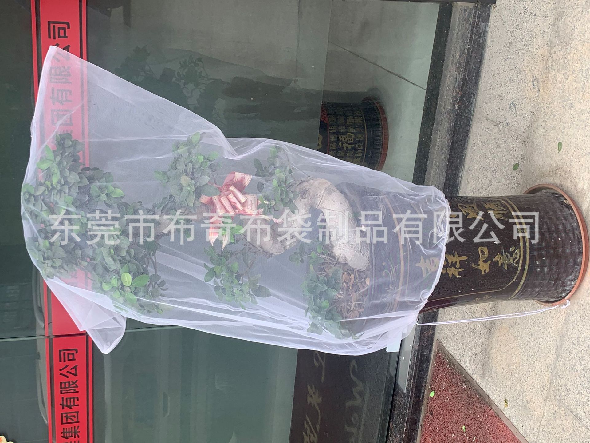 f112a4da7e26b66ccb09fd9067a2c2