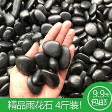 黑色鹅卵石高抛光南京雨花铺面子白米铺路小白一件一件批发超市热