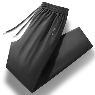 Casual Down Pants Men's 90 White Duck Down Windproof Cold-resistant Sports Thickened Warm Outer Wear Straight Pants Export