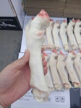 �������r������l�����������������_���^��؛���r���Ô[����