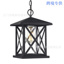 户外可调节悬挂式吊灯透明玻璃制灯罩(针对北美跨境平台卖家）