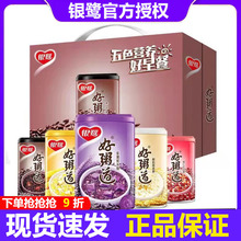 �y��������ˌ����������s�Z��12������޲�ʼt��Ҭ��������ʳ��