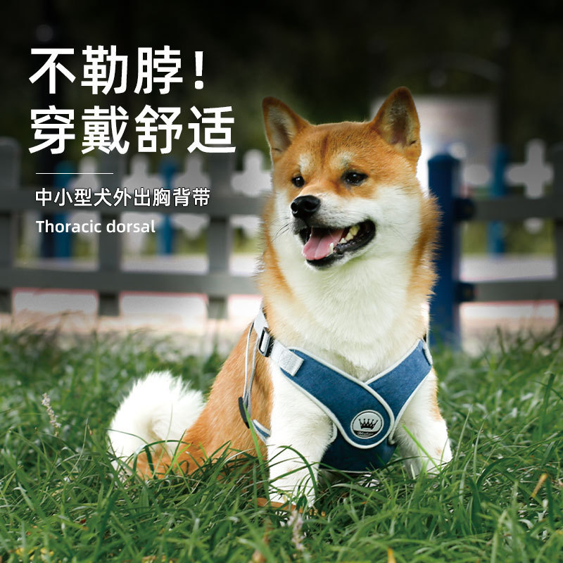 강아지 가죽끈 조끼형 반사 하네스 중소형견 탈출방지 및 폭발방지 강아지 산책줄 애완용품