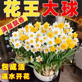 �������ؼ���ˮ�ɻ��N��N��ˮ�B������������҃��ⶬ��ˮ��ֲ��